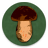 icon Book of mushrooms 4.4