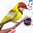 icon Birds Ringtones 2.0.3