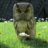 icon The Magical Typewriter 1.34.0