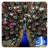 icon 3D Peacocks Live Wallpaper 84.0