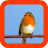 icon flappy funny bird 1.0.0