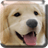 icon Puppies Live Wallpaper 5.6