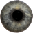 icon Eye Diagnosis 1.2.7