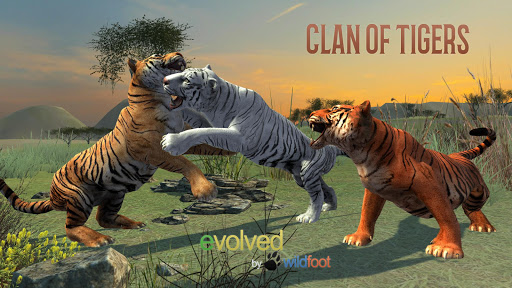 Clan of Tigers