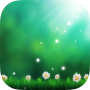 icon Green Aurora Live Wallpaper for Samsung Galaxy Note 10 1