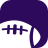 icon Ravens Football 8.5.8