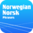 icon Norwegian 3.1.0