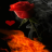 icon Rose In Fire LWP 2