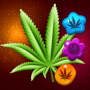 icon Weed Match