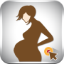 icon Pregnancy Checklist