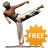 icon Taekwondo Forms Sponsored 1.8.3g