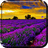 icon Lavender Live Wallpaper 3.5