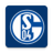 icon Schalke 04 1.9.24