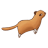 icon Flying Squirrel 1.4.0