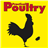 icon Practical Poultry 6.0.8