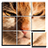 icon PuzzlesOfImages 4.0.1