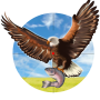 icon Eagle Hunter