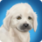 icon PetWorld 4.5.50