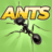 icon Pocket Ants 0.0556