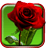 icon Roses Live Wallpaper 7.0