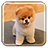 icon Puppy Live Wallpaper 1.7