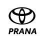icon Prana for intex Aqua A4