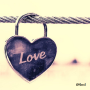 icon Romantic Love Quotes & Images
