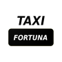 icon Taxi Fortuna (г. Ургенч) for iball Slide Cuboid