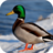 icon Duck Wallpapers 1.0