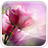 icon Pink Roses Live Wallpaper 4.1