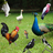 icon Bird Sounds 1.12