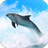 icon Dolphins Live Wallpaper 9.0