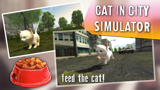 Cat In City Simulator