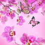 icon Pink Flowers Live Wallpaper