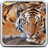 icon Tiger Live Wallpaper 18.0