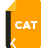 icon CAT 4.2.1