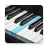 icon Real Piano 5.30.2