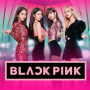 icon BlackPink Wallpaper 2020 for Samsung S5830 Galaxy Ace