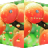 icon com.domobile.aut.cpeach 1.0