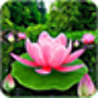 icon Flower Live Wallpaper 3D