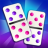 icon Domino Master 3.24.0