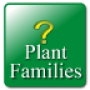 icon Key: Plant Families