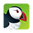 icon Puffin 7.5.1.20499