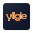 icon Viigle 4.34