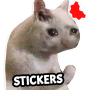 icon Cat Memes Stickers WASticker