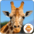 icon Animal Puzzle 2018.1.2