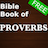 icon Proverbs 2.0