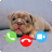 icon Dog Fake Call Prank Video Game 5.4.0