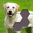 icon Hexa Jigsaw 64.01