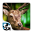 icon Deer Hunt 1.3.1